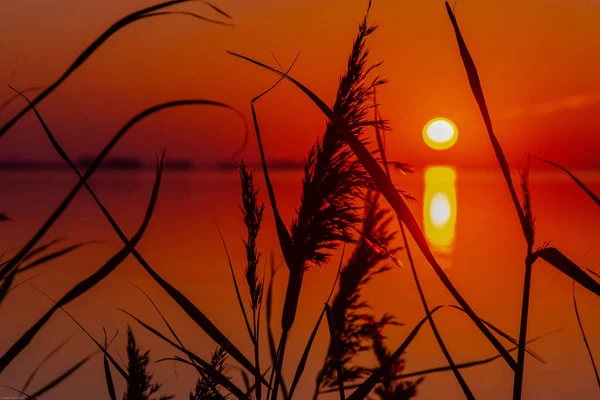 Západ Slunce Hřišti — Stock fotografie