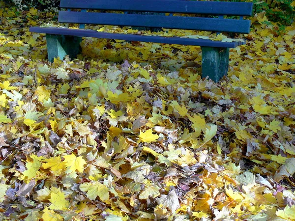 Herbstzeit Laub Herbstblätter — Stockfoto