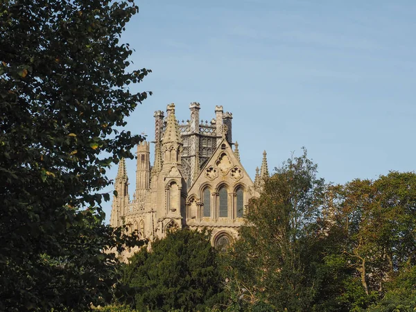 Ely Cathedral 이전에 엘리에 Etheldreda Peter Church Holy Undivided Trinity — 스톡 사진