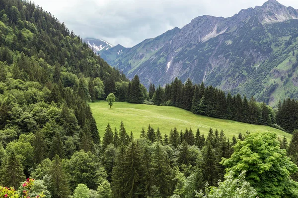 Horská Krajina Allgau Bavorsko Německo — Stock fotografie