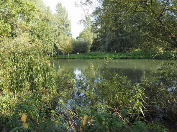 Utsikt Över Floden Cam Cambridge — Stockfoto