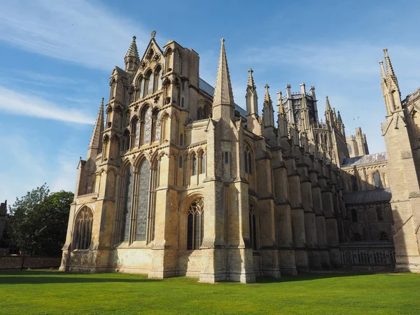 Ely Cathedral 이전에 엘리에 Etheldreda Peter Church Holy Undivided Trinity — 스톡 사진