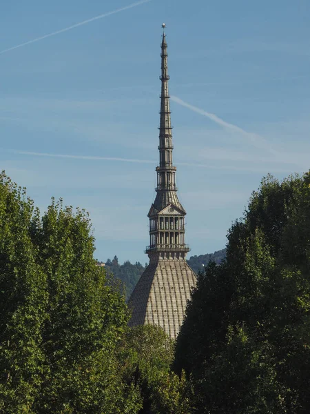 Taupe Antonelliana Dans Piémont Turin Italie — Photo