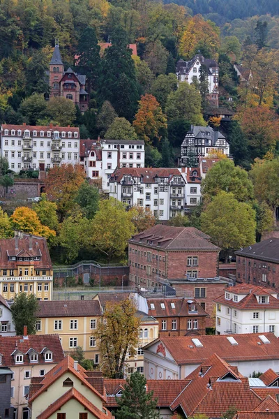 Wzgórze Zamku Heidelberg Pelz Fauler — Zdjęcie stockowe