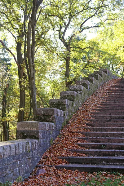 Schody Jesiennymi Liśćmi Miejscu Heiligenberg Koło Heidelbergu — Zdjęcie stockowe