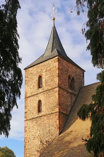 ハイデルベルクにあるカトリックの聖ヴィトゥス教区教会の塔は — ストック写真