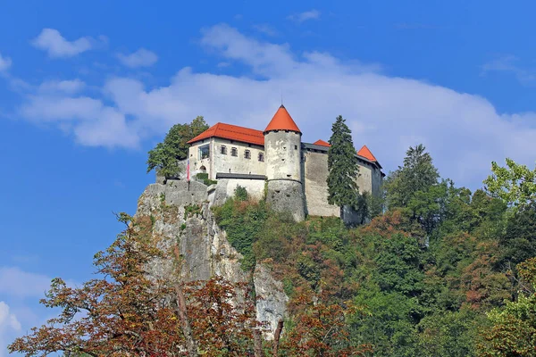 Famoso Castello Sanguinato Slovenia Nel Mese Agosto 2018 — Foto Stock