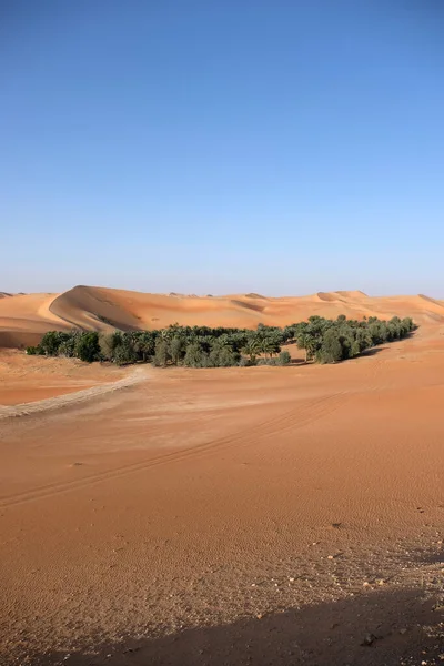 Strofina Deserto Khali — Foto Stock