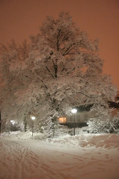 Winter Stad — Stockfoto