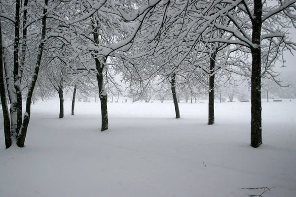 Zima Mieście — Zdjęcie stockowe