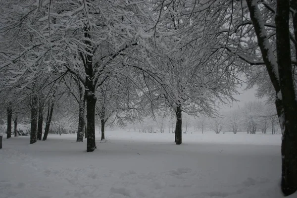 Invierno Ciudad — Foto de Stock