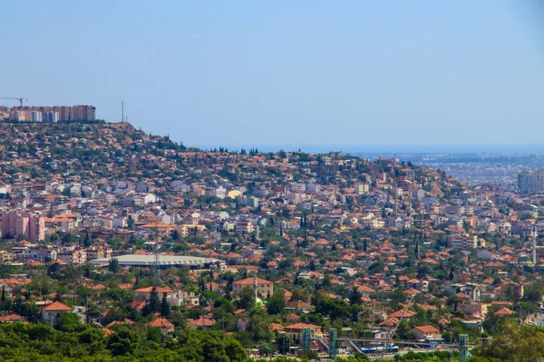 Vista Panorámica Del Campo Enfoque Selectivo — Foto de Stock