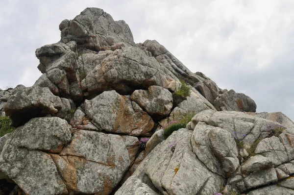 Pedras Atlântico Lanmeur Primrose Tregastel França — Fotografia de Stock