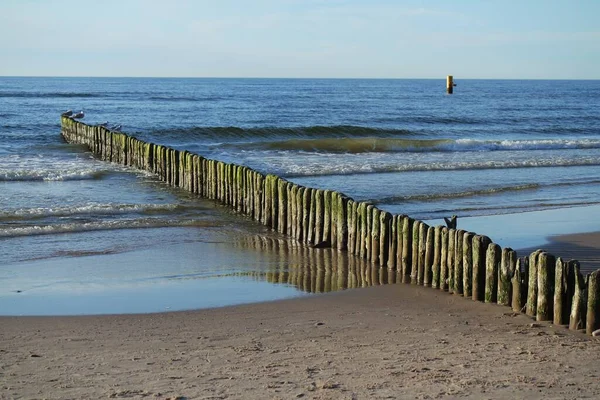 Vlnolamy Pláži Baltského Moře — Stock fotografie