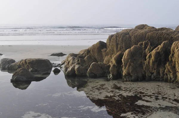 Paisagem Ripária Após Mudança Maré Oceano Atalântico França — Fotografia de Stock