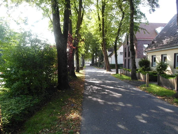 Schöne Aussicht Auf Den Park Sommer — Stockfoto