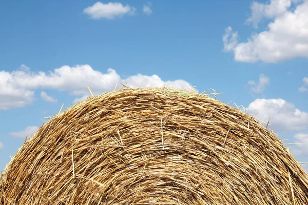 Ronde Strobaal Troebele Blauwe Lucht — Stockfoto