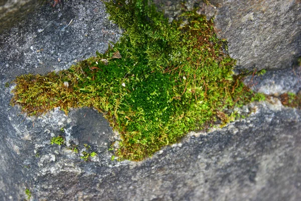 Insel Der Tausend Tempel — Stockfoto