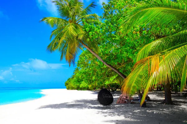 白沙滩上的棕榈树 碧绿的大海 — 图库照片