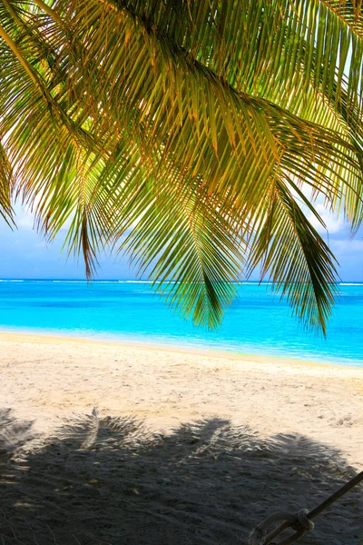 Playa Ensueño Con Palmeras Arena Blanca Océano Turquesa —  Fotos de Stock