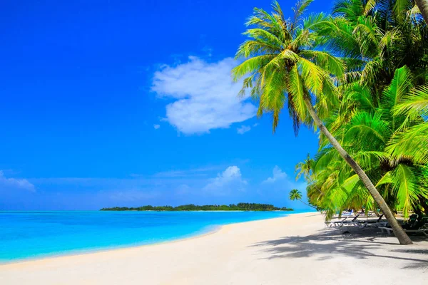 Drömstrand Med Palmer Vit Sand Och Turkost Hav — Stockfoto