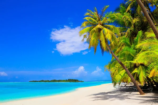 Traumstrand Mit Palmen Auf Weißem Sand Und Türkisfarbenem Meer — Stockfoto