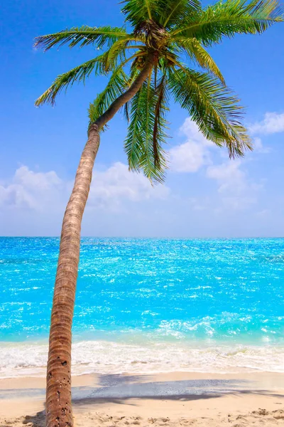 Playa Ensueño Con Palmeras Arena Blanca Océano Turquesa —  Fotos de Stock