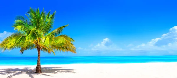 Playa Ensueño Con Palmeras Arena Blanca Océano Turquesa —  Fotos de Stock