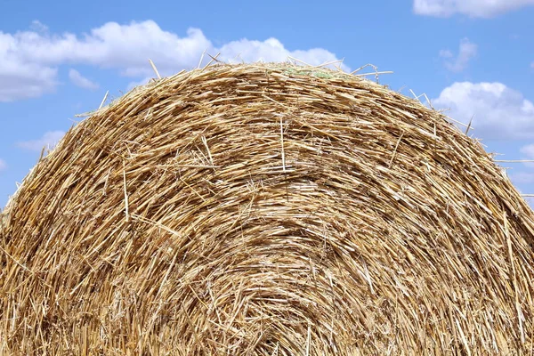 Rund Bale Halm Och Grumlig Blå Himmel — Stockfoto