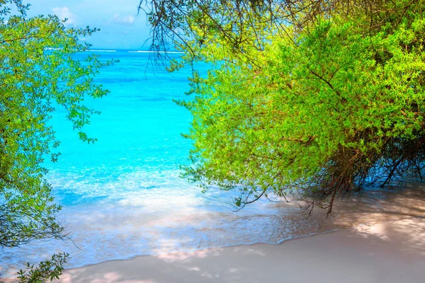 Ονειρεμένη Παραλία Φοίνικες Λευκή Άμμο Και Τυρκουάζ Ωκεανό — Φωτογραφία Αρχείου
