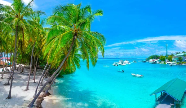 Palmbomen Het Zandstrand Turquoise Oceaan Van Bovenaf — Stockfoto