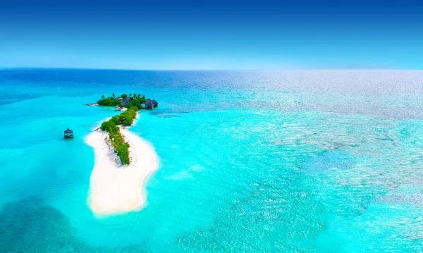 Palm Trees Sandy Beach Turquoise Ocean — Stock Photo, Image