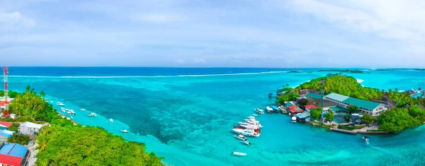 砂浜のヤシの木と上からターコイズブルーの海 — ストック写真