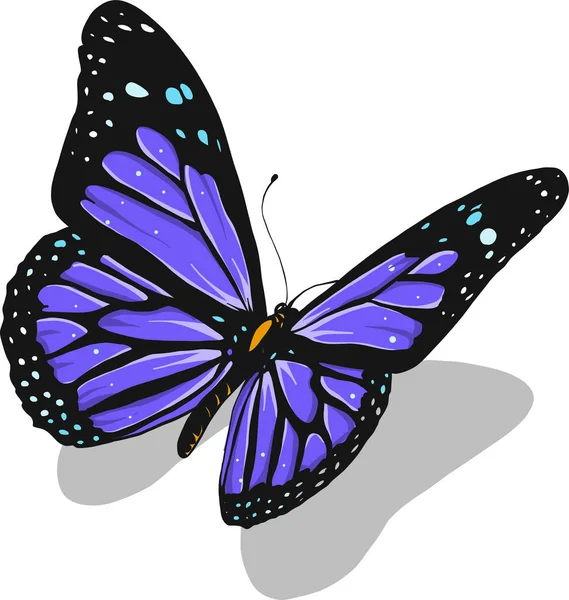 Een Kleurrijke Vlinder Morpho Dididius — Stockfoto