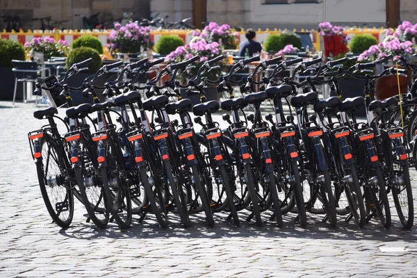 Black Bikes Standing Row — Photo