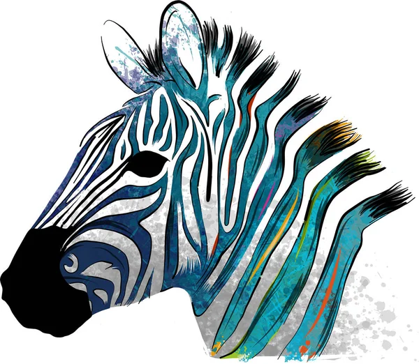 Иллюстрация Zebra Цветными Полосами — стоковое фото