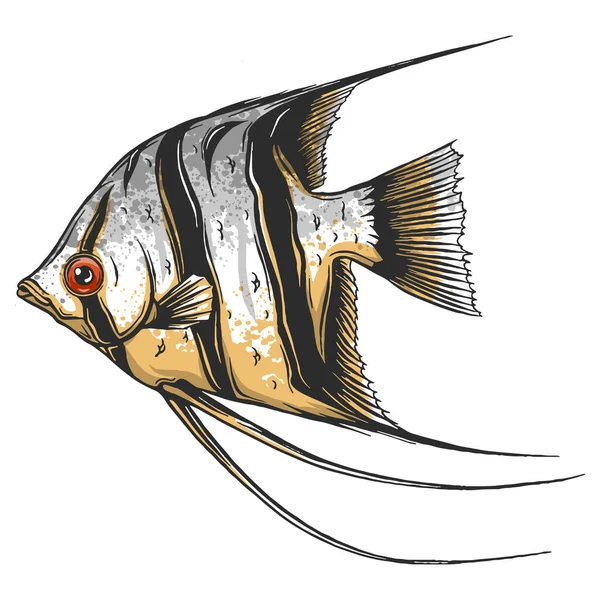 Чорна Скалярна Риба Білому Тлі Векторні Ілюстрації — стокове фото