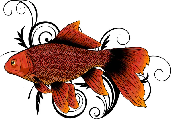 Red Drum Sébaste Illustration Vectorielle Avec Des Détails Raffinés Une — Photo