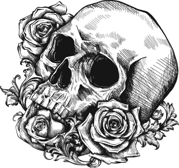 Cráneo Con Rosas Sobre Fondo Blanco —  Fotos de Stock