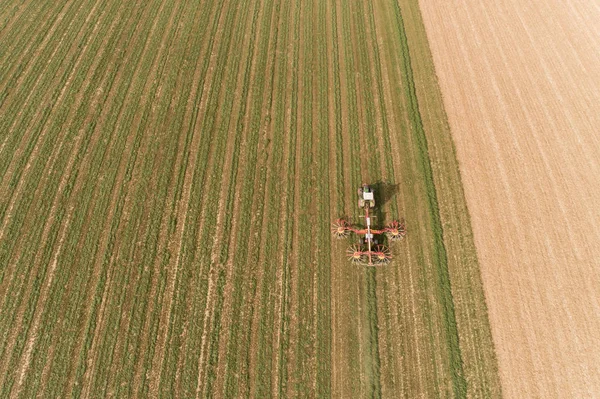 Een Handelaar Die Een Veld Werkt — Stockfoto