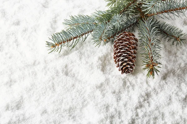 Zimowe Tło Śniegu Gałązką Jodły Stożkiem Nowy Rok Boże Narodzenie — Zdjęcie stockowe