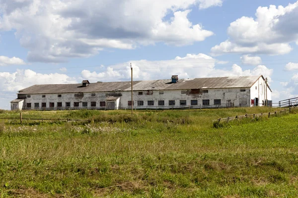 Edifício Velho Abandonado Grande Fazenda Foi Usado Como Cowshed Paisagem — Fotografia de Stock