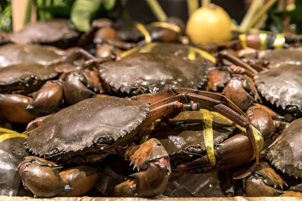 Fresh Raw Crab Ready Cook — Stock Photo, Image
