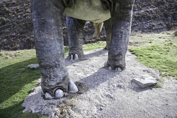 Tyrannosaur Legs Limbs Detail Prehistoric Animal Animal Ancient Humanity — Stock Photo, Image