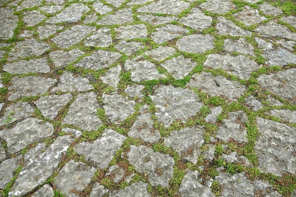 Material Natural Pavimentação Pedras Caminho Estrada — Fotografia de Stock