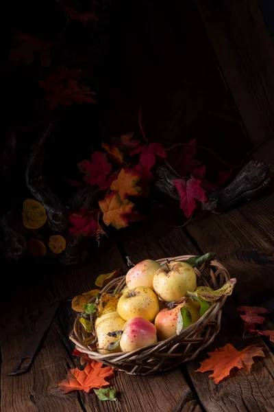 Pommes Bio Fraîches Savoureuses Dans Panier — Photo