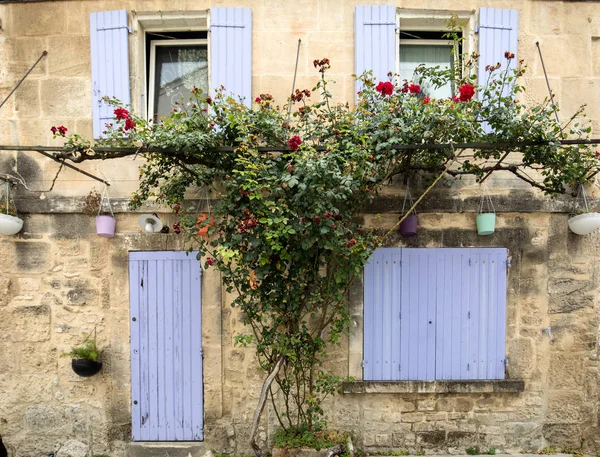 Una Rosa Trepadora Una Pared Casa Con Persianas Azules Provenza — Foto de Stock