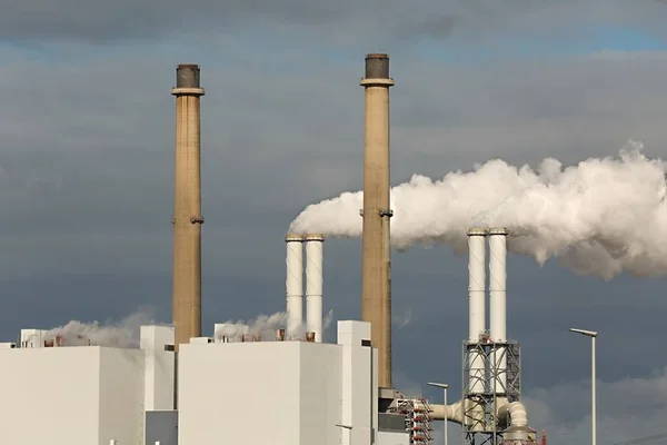 Planta Energía Para Fumadores Chimenea Primer Plano — Foto de Stock