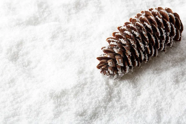 Fir Cone Lying Snow Background Copy Space Winter Background New — Stock Photo, Image