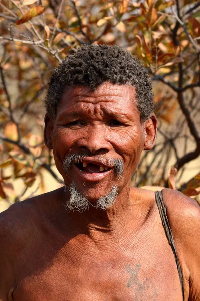 Άνθρωποι Του San Στη Ναμίμπια — Φωτογραφία Αρχείου